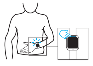 Abdomen.png